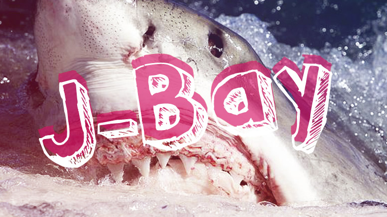 Jeffreys Bay safe from further shark attacks?